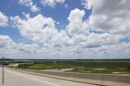 Descent into the marsh