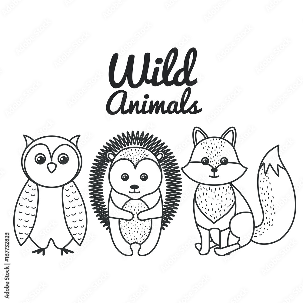 cute wild animal nature fauna set image vector illustration cute wild animal nature fauna set image vector illustration