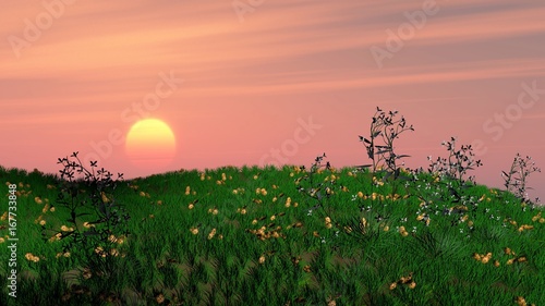 Fototapeta Naklejka Na Ścianę i Meble -  pol 22f