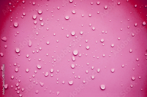 Water drops on pink background