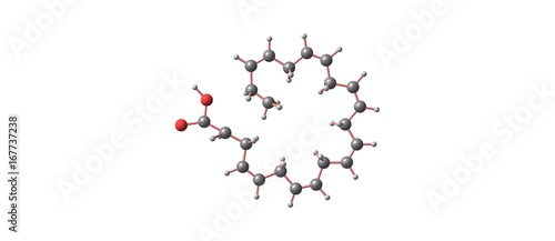 Docosahexaenoic acid molecular structure isolated on white