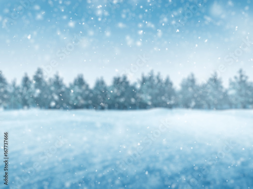 Winter background with snow and trees  blur landscape