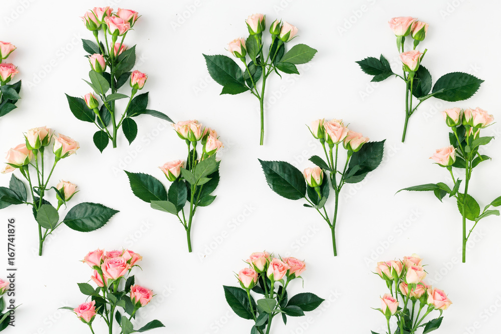Set of branches of pink roses on white background Set of branches of pink roses on white background