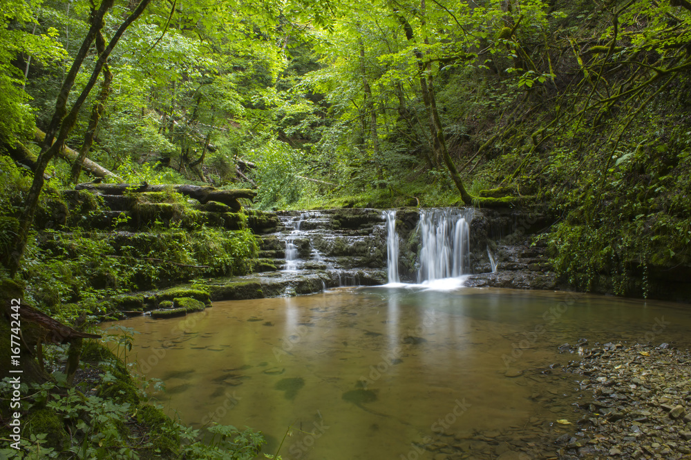 Naklejka premium Gauchach Gorge, Black Forest, Germany