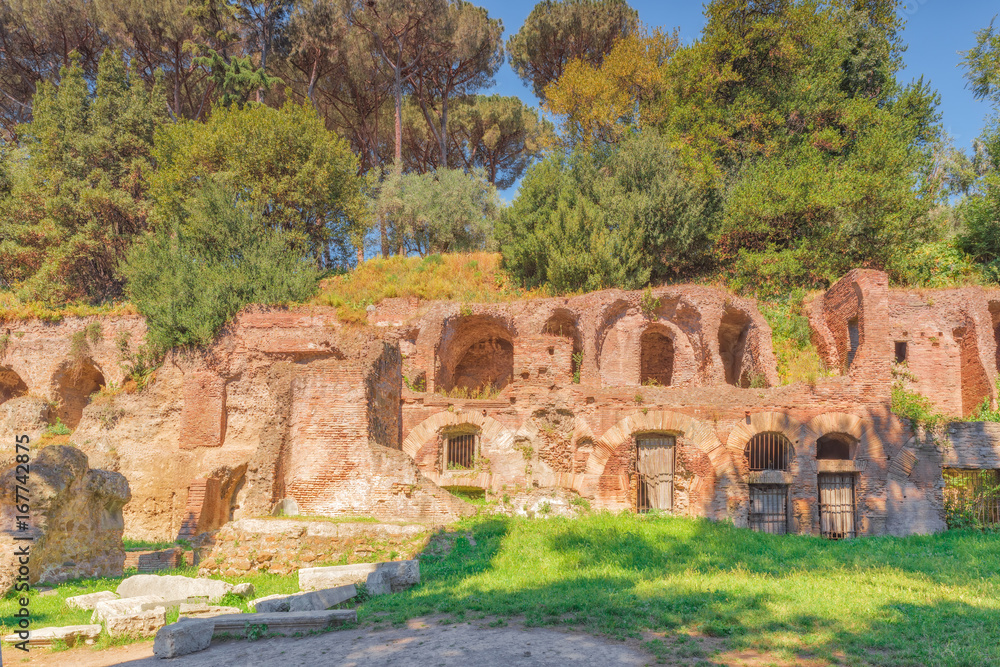 Archaeological and historical objects in Rome, united by the name - Roman Forum. Roman Forum and Palatine Hill