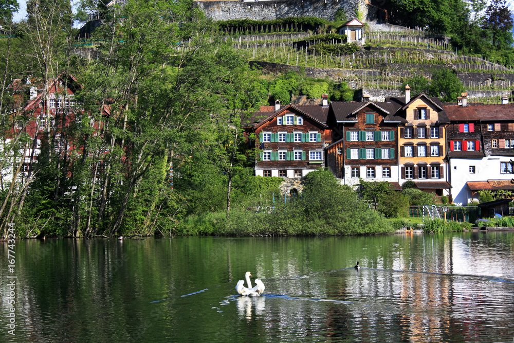 lake in switzerland