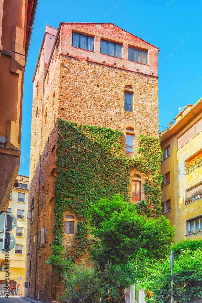  Beautiful landscape  living tower and historical view of the Florence. Italy.