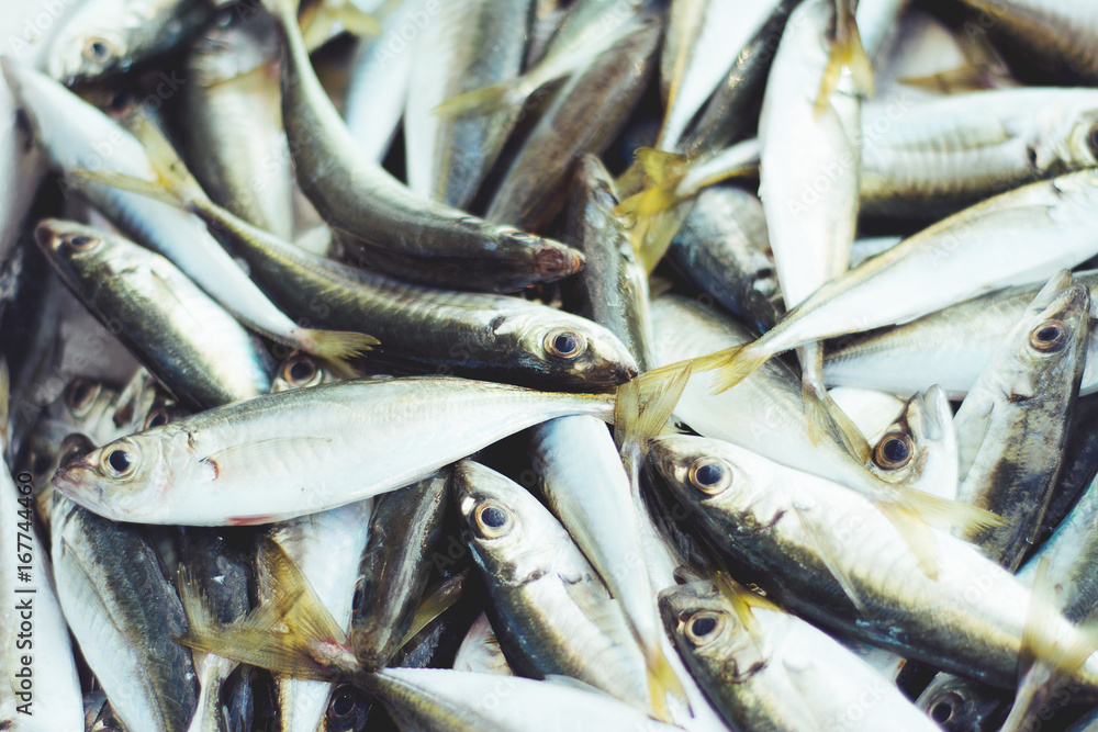 Obraz premium Fresh fish on the market