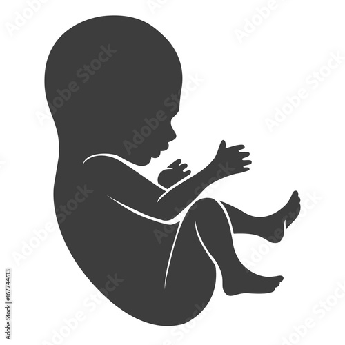 Human fetus icon or newborn and unborn baby silhouette isolated on white background. Vector illustration