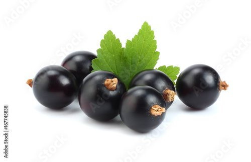 black currant with green leaf isolated on white background