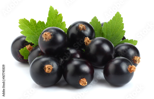 black currant with green leaf isolated on white background