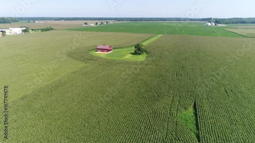 Aerial View Flying Over Corn and Soybean Fields and Farms Smyrna Delaware photo