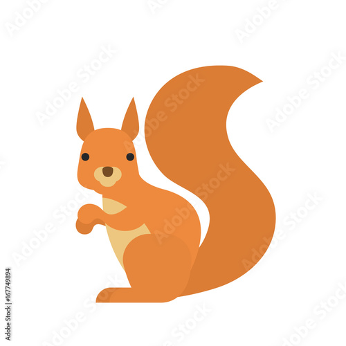cartoon squirrel on white background