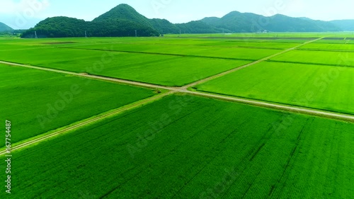 田園風景空撮