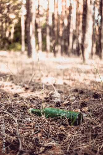 A green glass bottle lies in a pine forest. Environmental pollution. Garbage in nature.