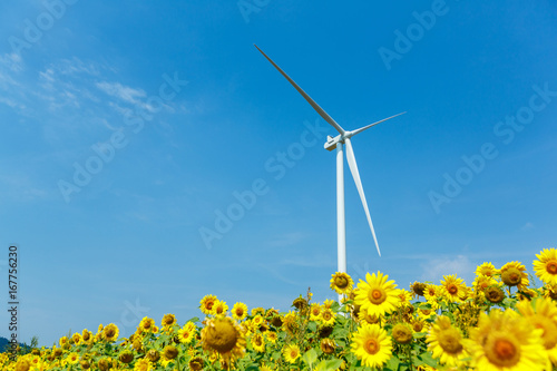 Wind turbines standing in sunflower field over a deep blue sky. Renewable energy ecological concept © Volodymyr Herasymov