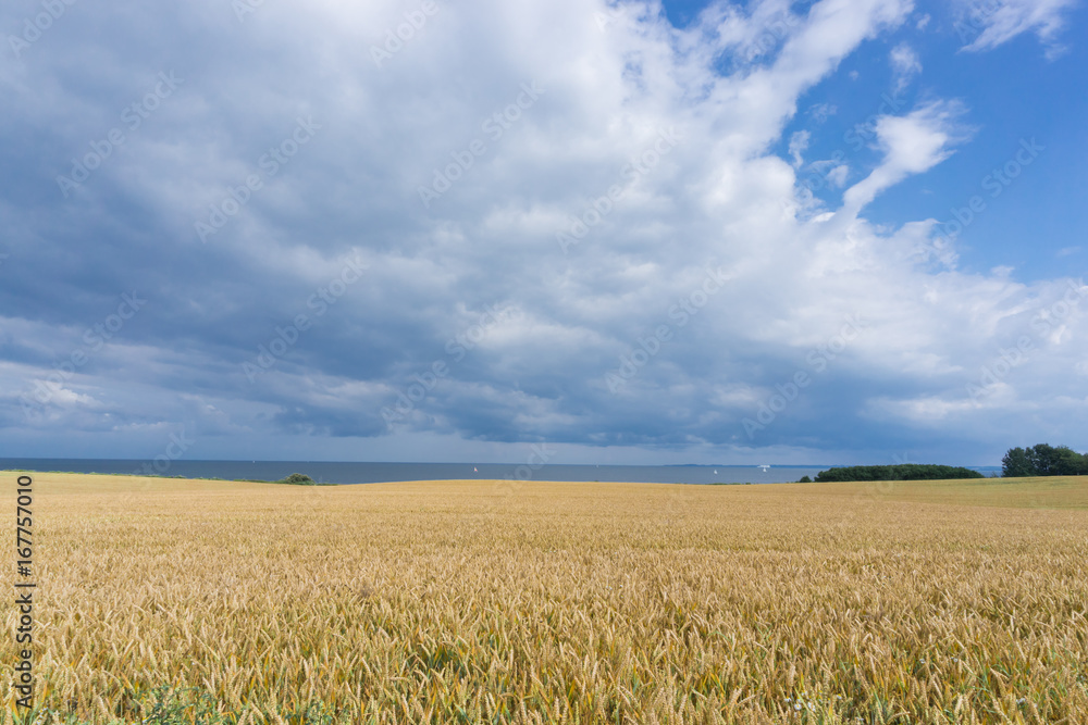 Landschaft an der Lübecker Bucht in Deutschland Landschaft an der Lübecker Bucht in Deutschland