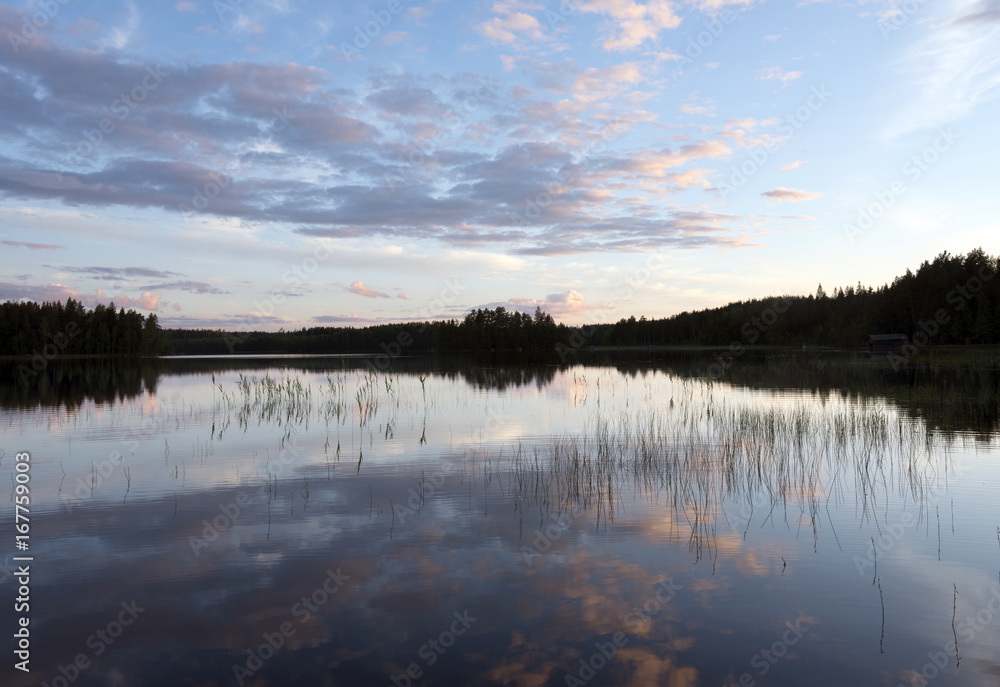 Fototapeta premium lake and forest in saima area in finland