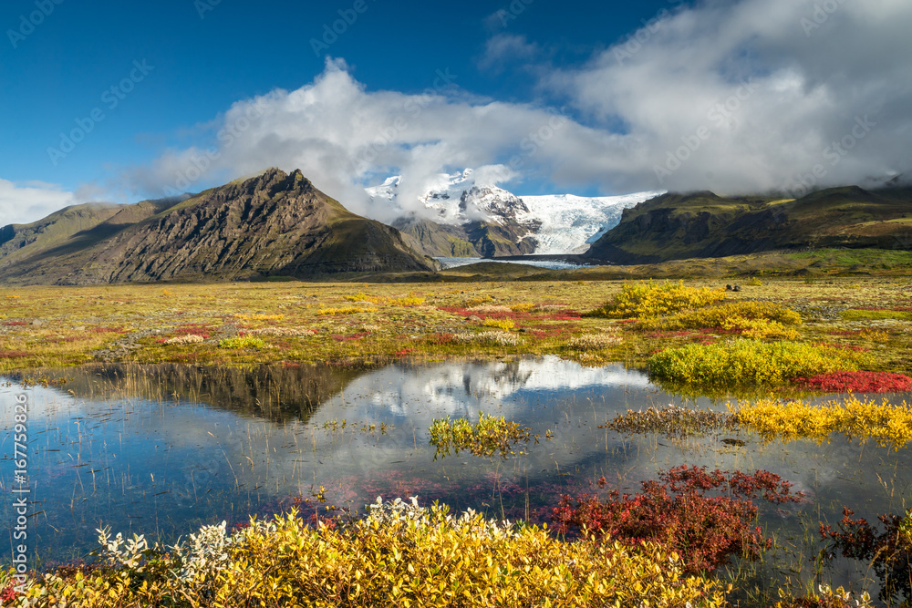 Farbenprächtige Herbst-Landschaft im Skaftafell Nationalpark, Südisland - obrazy, fototapety, plakaty 