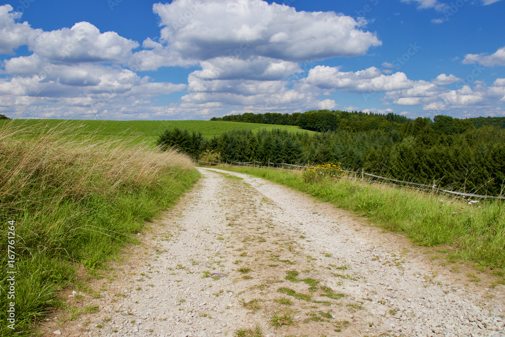 Path in Grassfield