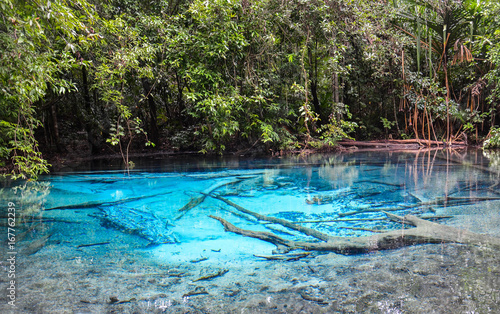 Emerald Pool or Blue Pool at Krabi Thailand © magneticmcc