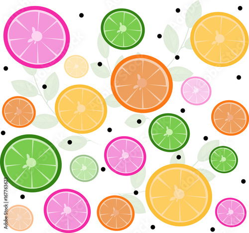 Citrus slices pattern Vector. summer exotic background