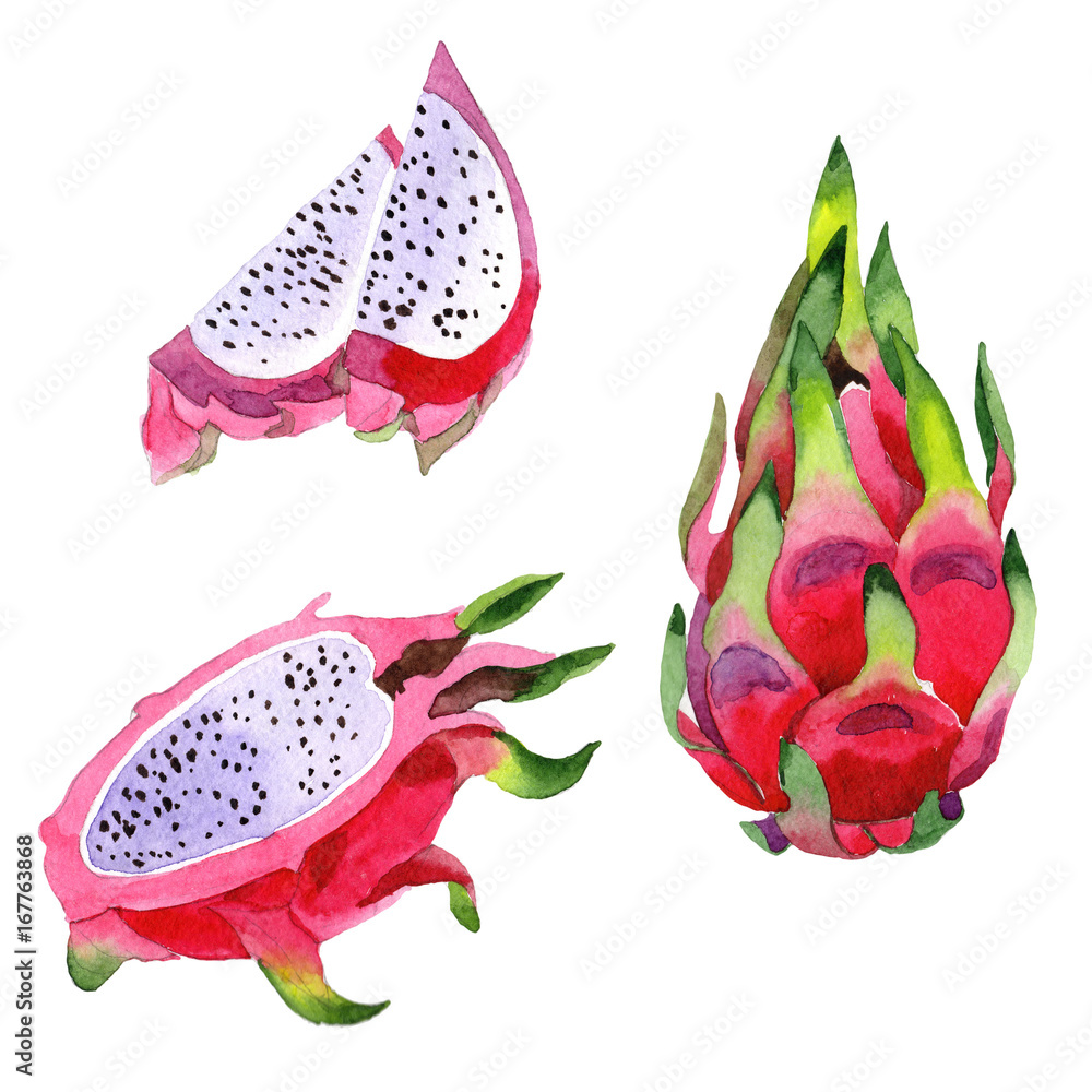 Exotic pitaya healthy food in a watercolor style isolated. Full name of the fruit: pitaya. Aquarelle wild frukt for background, texture, wrapper pattern or menu. Exotic pitaya healthy food in a watercolor style isolated. Full name of the fruit: pitaya. Aquarelle wild frukt for background, texture, wrapper pattern or menu.