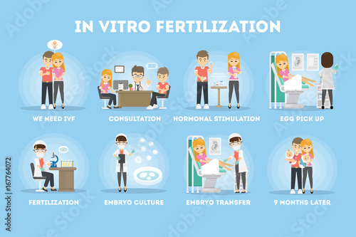 In vitro fertilization.