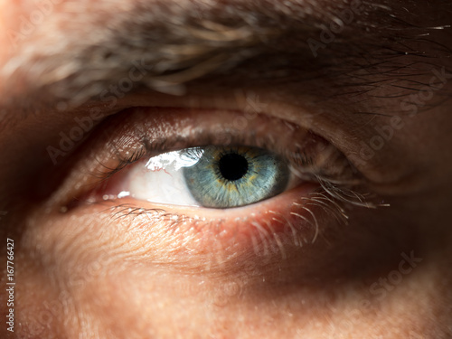 Green eye close up shot.