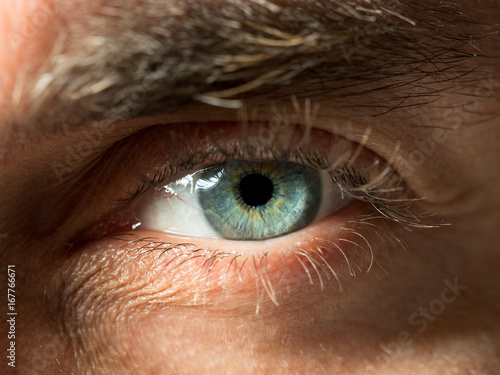 Green eye close up shot.
