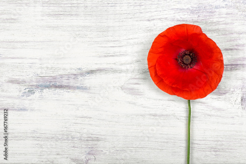 Fototapeta Naklejka Na Ścianę i Meble -  poppy on old white wooden table closeup