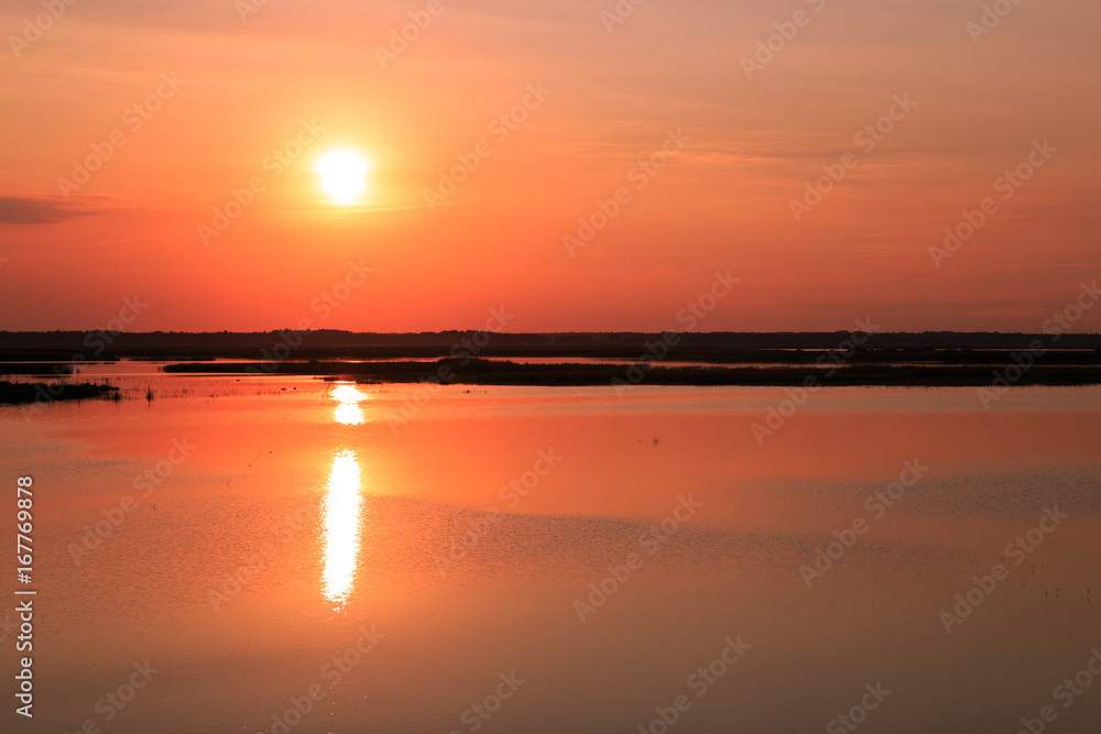 Beautiful summer landscape, the dawn on the lake Beautiful summer landscape, the dawn on the lake