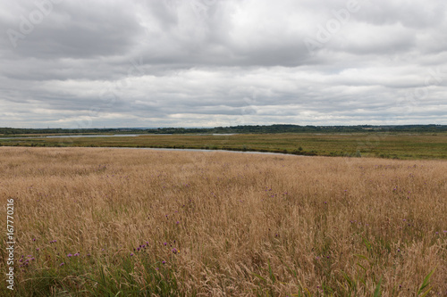 Water meadow landscape, St Aidan's nature reserve, Leeds
