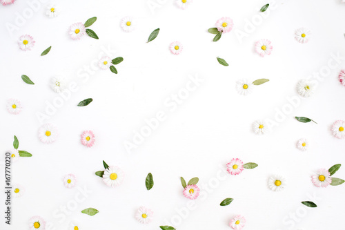 Fototapeta Naklejka Na Ścianę i Meble -  Floral frame with space for text made of white and pink chamomile daisy flowers, green leaves on white background. Flat lay, top view. Daisy background. Frame of flower buds.