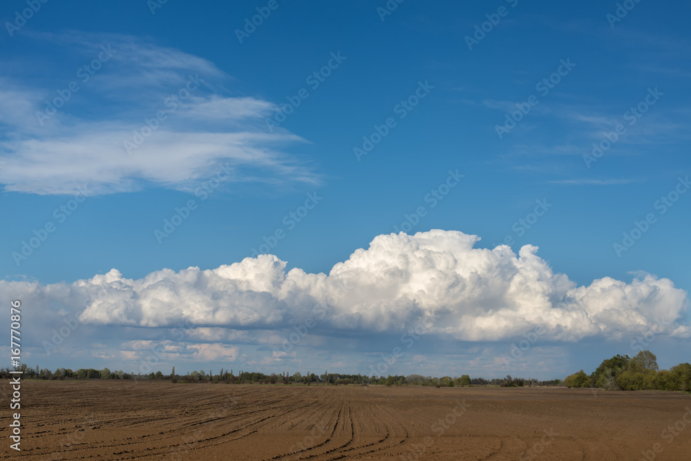 Fototapeta premium sky and field rural landscape, sky with clouds