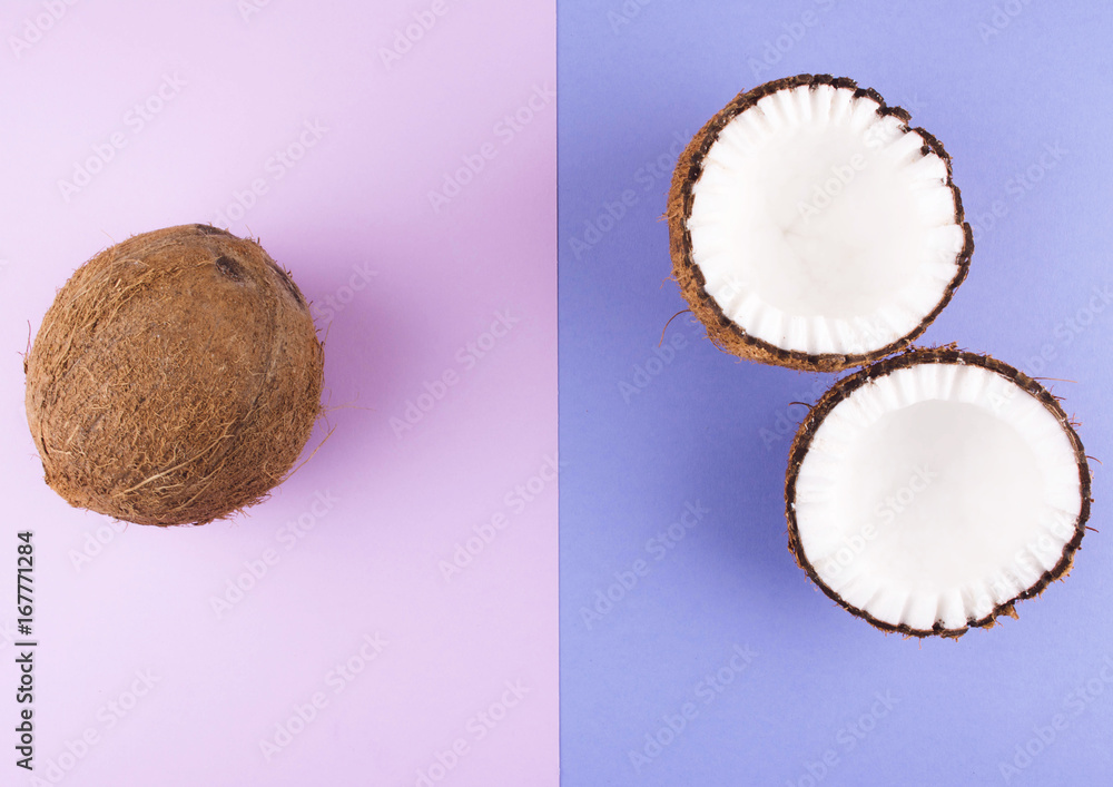 Fruits of coconuts on colorful background.
