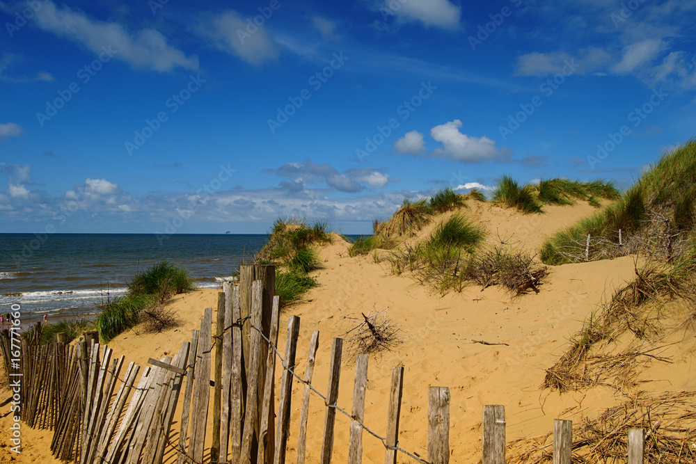 Sand dunes with hedge and sea.