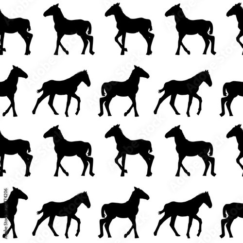 Seamless background with foals silhouettes