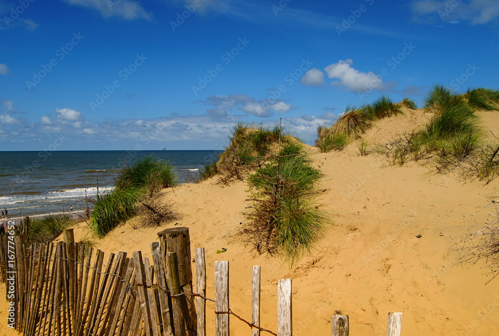 Sand dunes. Beach and sea