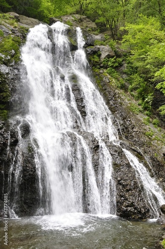 丹沢山地 雷滝