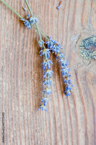 Lavender on wooden table