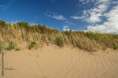 beach scene