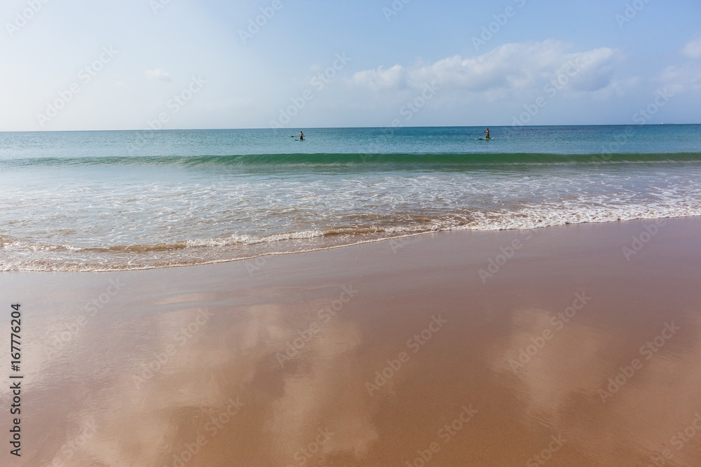 Ocean Paddle Boarders Surfing Beach Shoreline