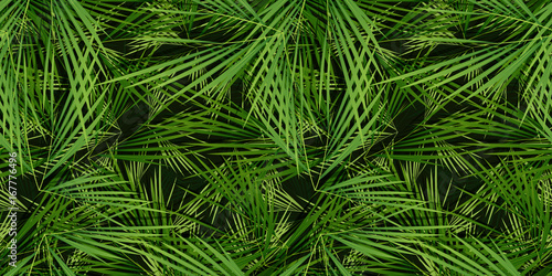 Seamless Palm Trees Leaves Background