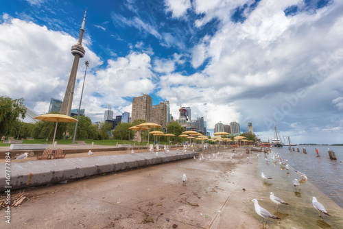 Toronto skyline and seagulls on urban beach in sunny day, Toronto, Ontario, Canada. photo