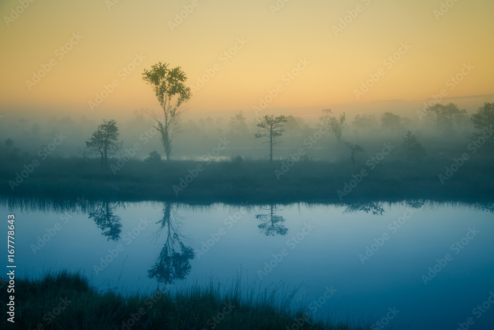 A dreamy swamp landscape before the sunrise. Colorful, misty look. Marsh scenery with a lake. Beautiful artistic style photograph.