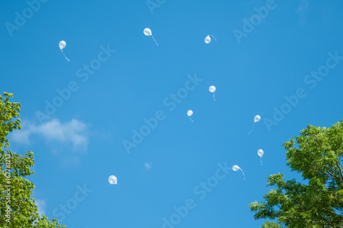 White balloons in the blue sky.