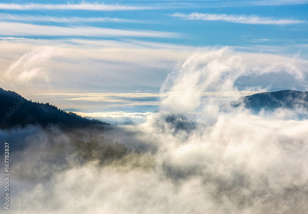 thick cloud formation rising from the valley thick cloud formation rising from the valley