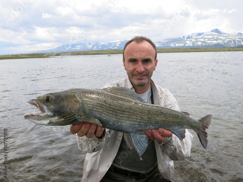 Fly fishing - monster grayling from west Mongolia