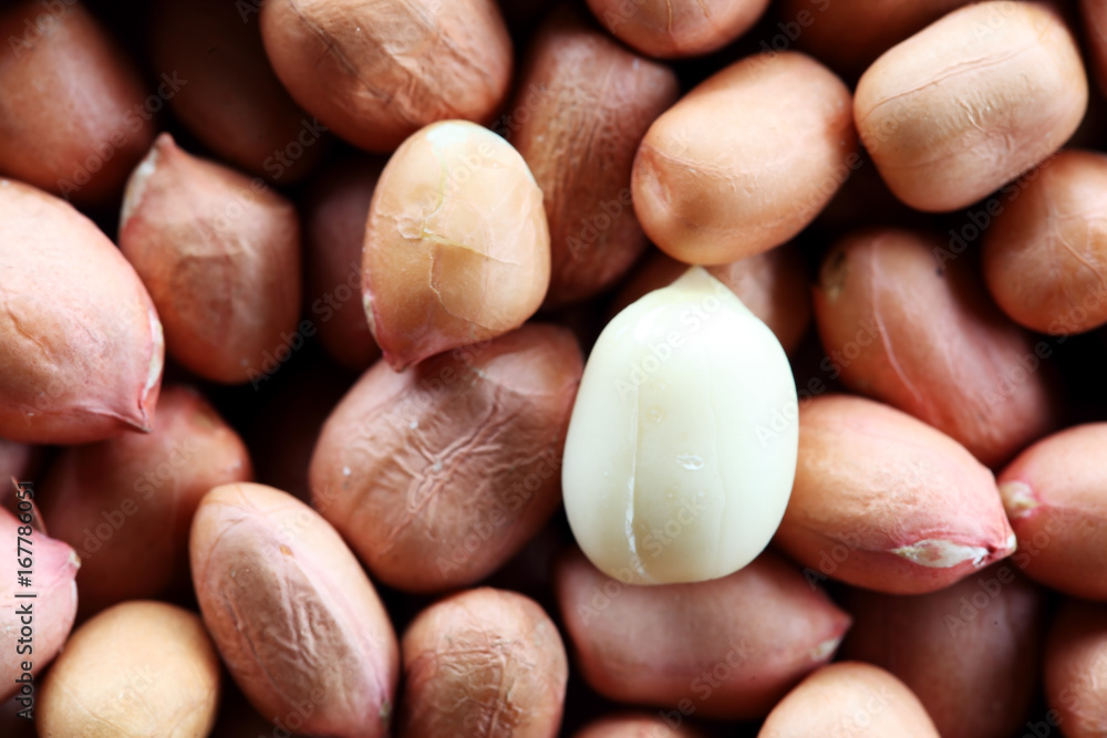close up of peanut texture background close up of peanut texture background